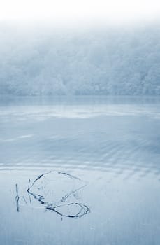 Foggy morning an a lake