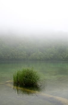 Landscape of a peaceful  river on a foggy day