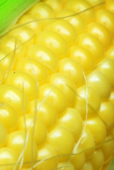 Macro of the corn cob , shallow DOF photo