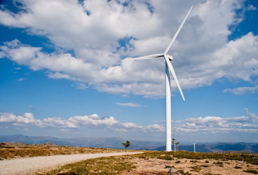 Beautiful meadow with Wind turbines generating electricity.
