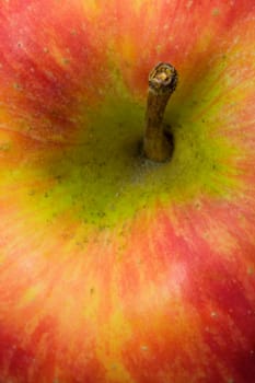 Deliciious red apple close up photo with shallow DOF