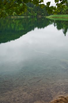 Beautiful landscape of a green lake