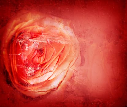 Computer designed grunge textured Valentines background - rose