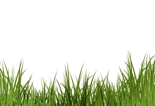 Uncut grass background