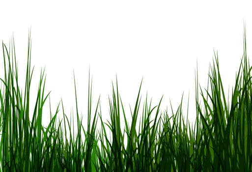 Uncut grass background