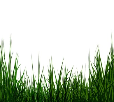 Uncut grass background