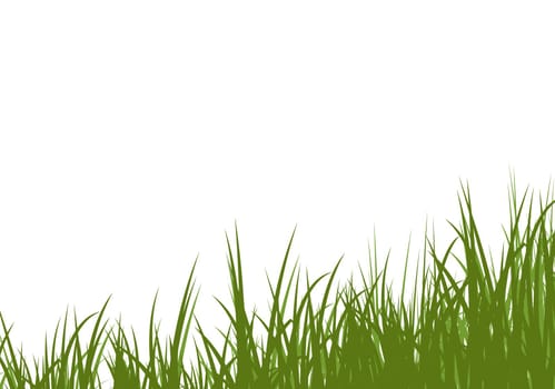 Uncut grass background