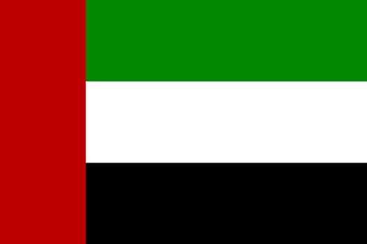 Flag of the United Arab Emirates