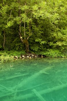 Beautiful landscape of a green lake