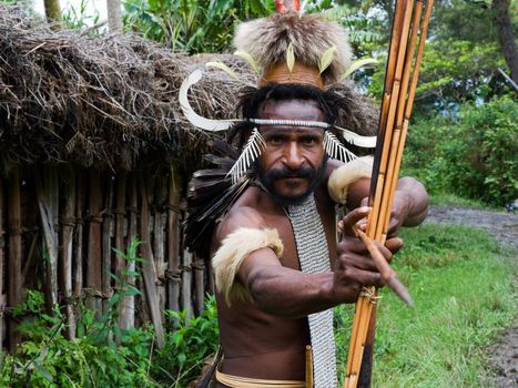 The warriorr of Dani Dugum tribe with an bow and an arrow aims in the photographer.