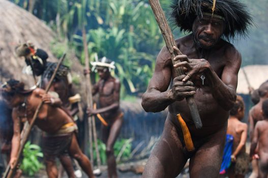 The Papuan banishes from the village, swinging a stick.