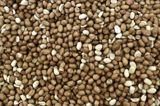 Brown groundnuts with peel in a market stock