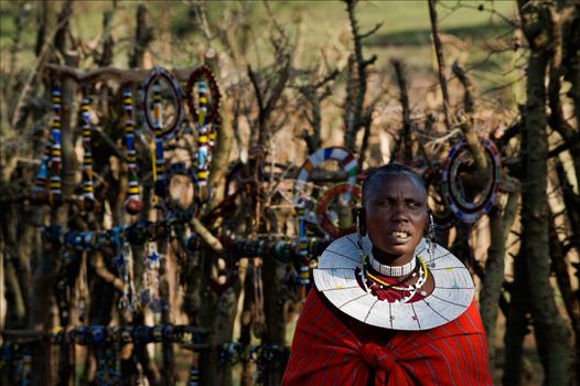 Masai woman with ornaments.The Maasai (also Masai) are a Nilotic ethnic group of semi-nomadic people located in Kenya and northern Tanzania. March, 5th, 2009,5, Tanzania. 