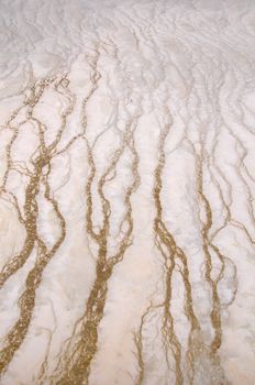 Dark brown lines leading viewers eyes to top of picture: lines are created by different minerals & algae in slow moving water on top of a lighter soil in Yellowstone National Park.
