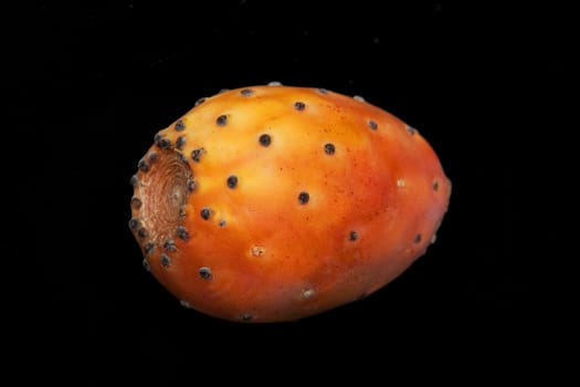 A cactus fruit on the black