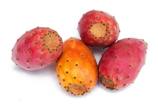 Cactus fruits isolated on the white