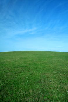 clear blue sky, clear green grass, horizon in middle
