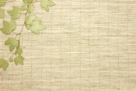 Dried green leaves over natural linen striped textured fabric textile