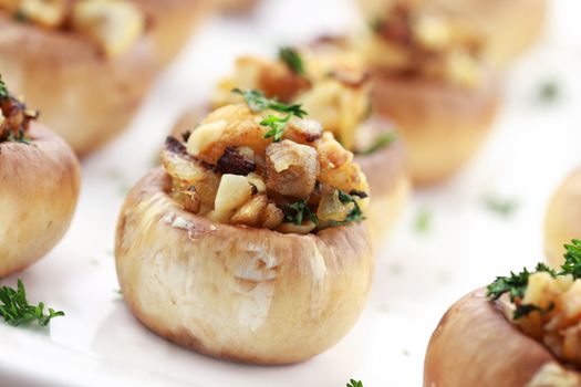 Stuffed mushrooms filled with bread crumbs, cheese, mushroom stems, fresh  parsley,onions and Macadamia nuts. Extreme shallow DOF with selective focus on center mushroom.