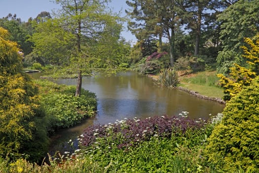 A garden with a pool in Devon, England.