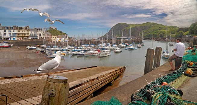 Low tide at Ilfracombe harbour in Devon, England.