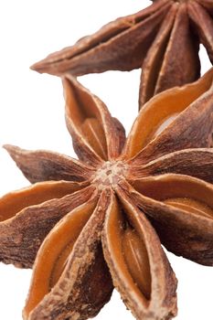 Spices for addition in food on a white background.