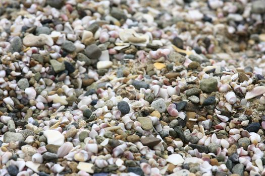 assorted pebbles on the beach 