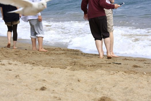 Teens feet on the sandy beach with waves and a bird caught in the photo.