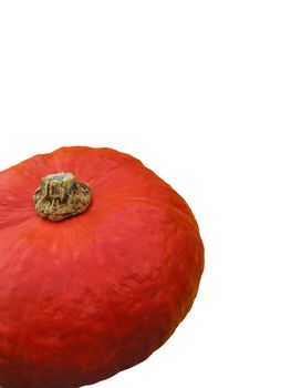 pumpkin on a white background