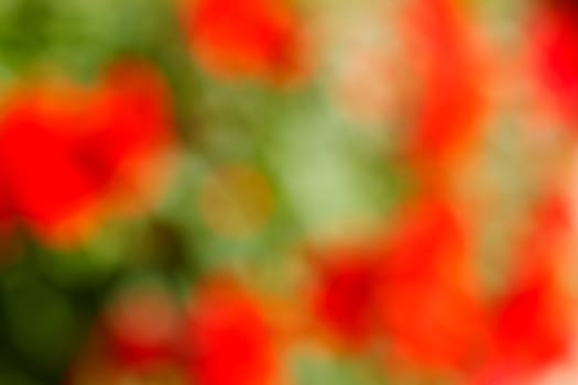 Abstract green and red blurred background with bokeh