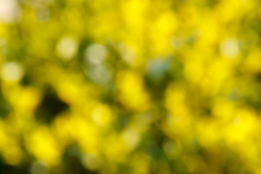 Abstract green andyellow blurred background with bokeh