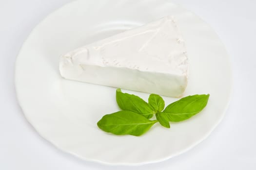 A blue cheese on the white background