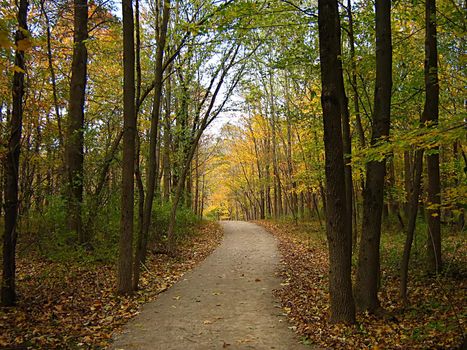 A photograph of a walking trail in autumn.