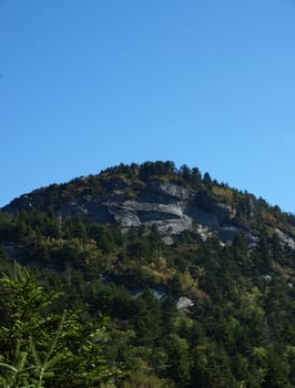 Along the trail at Grandfather mountain in North Carolina. McRea's peak.