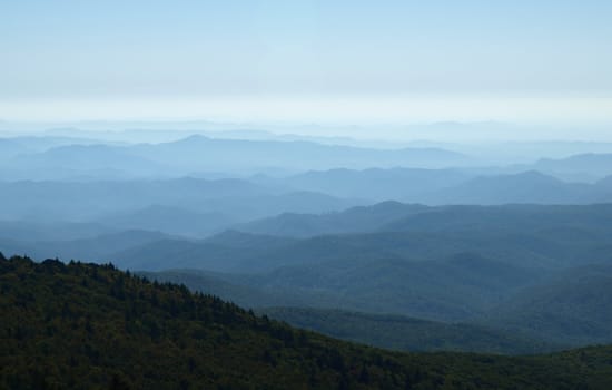 Along the trail at Grandfather mountain in North Carolina