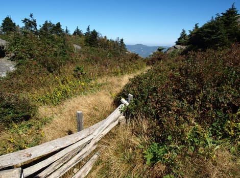 Along the trail at Grandfather mountain in North Carolina. A fence defines the trail