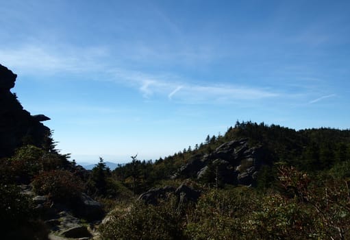 Along the trail at Grandfather mountain in North Carolina