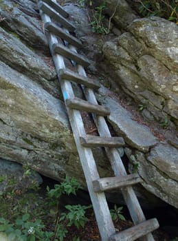 Along the trail at Grandfather mountain in North Carolina