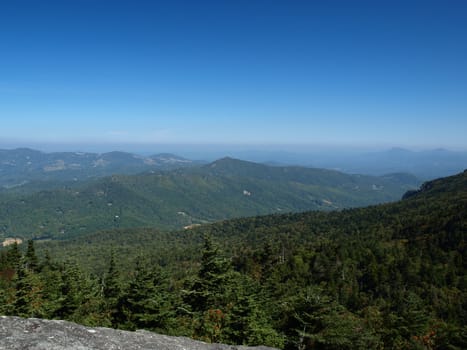 Along the trail at Grandfather mountain in North Carolina