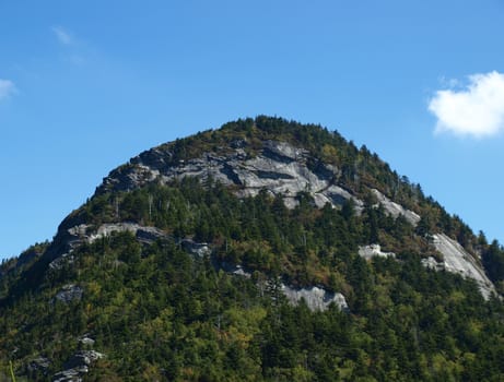 Along the trail at Grandfather mountain in North Carolina