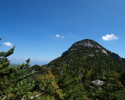 Along the trail at Grandfather mountain in North Carolina