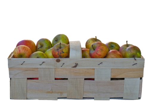 Several apples in basket on a white background