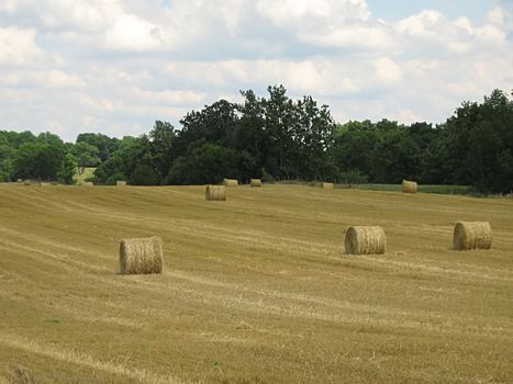 A photograph of hay bales in a field.