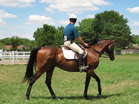 A photograph of a horse and rider.