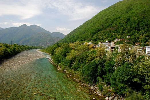 Maggia river in spring seen from Locarno surroundings, acacia trees with flowees along th river buildings of Solduno district at right, begining of famous Maggia valley at the background