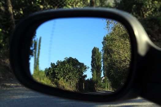 rearview car driving mirror view green forest road