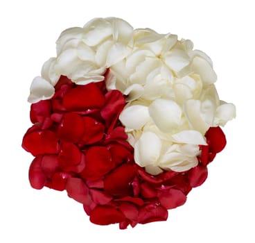 Red and white rose petals as a symbol of yin-yang