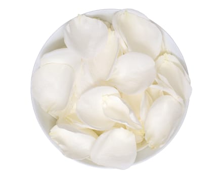 White rose petals in a bowl, top view
