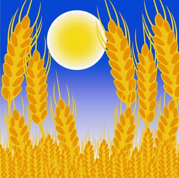 Moon night and field with ear of the wheat