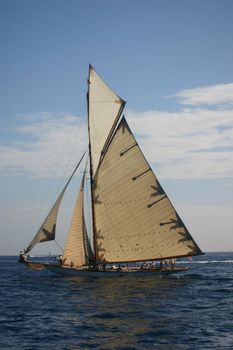 beautiful sailing boat in a regata racing